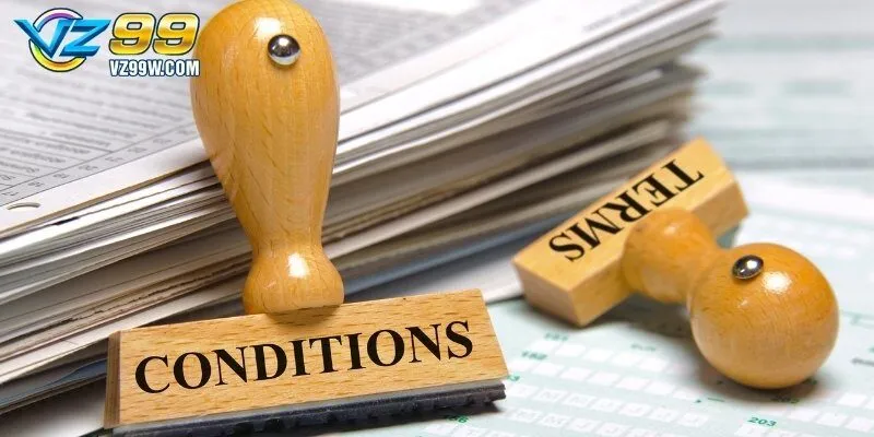 Tổng quan về chuyên mục điều khoản điều kiện Vz99